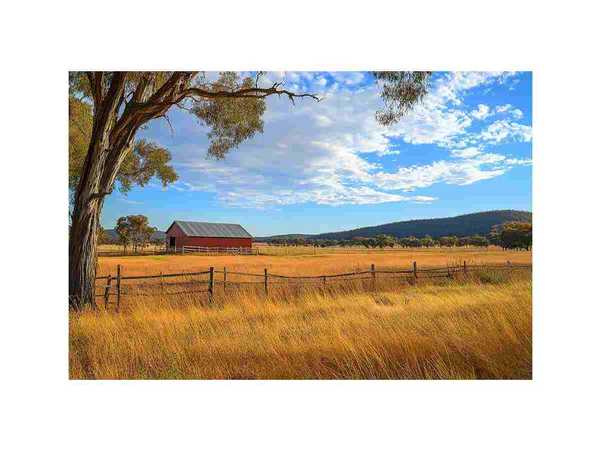 Farm 