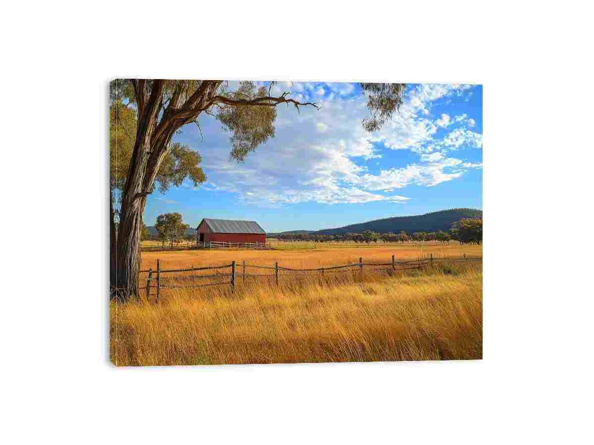 Streched canvas