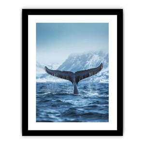 Framed Print