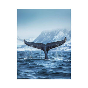 Whale Tail