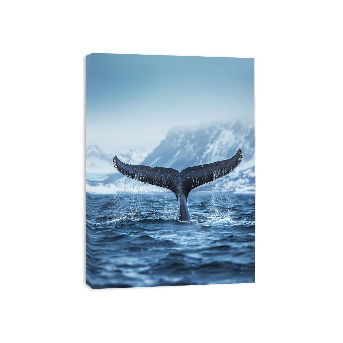 Streched canvas