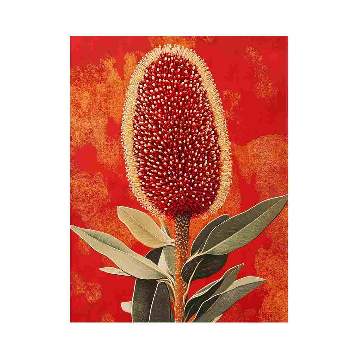 Banksia Coccinea