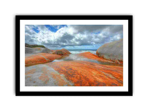 Framed Print