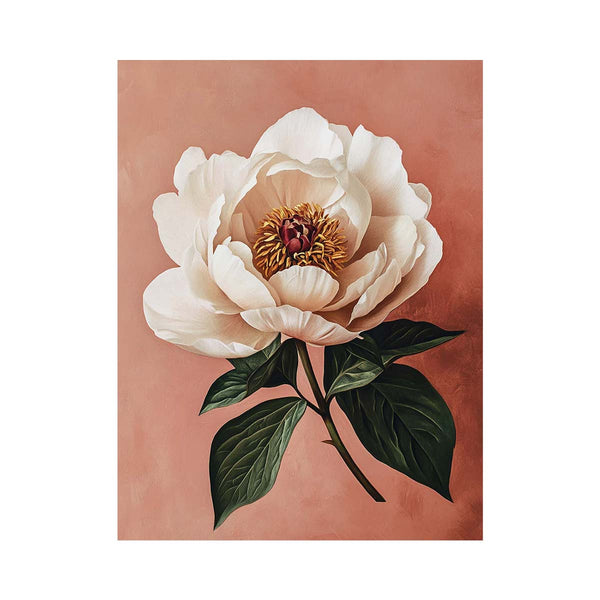 Peony  