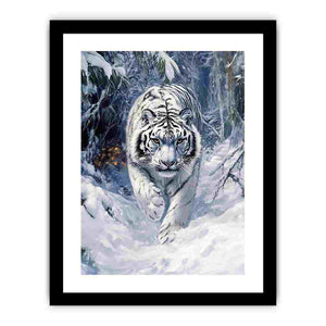 Framed Print
