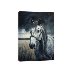 Streched canvas