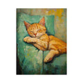 Cat Nap
