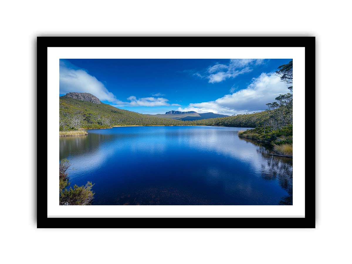 Framed Print