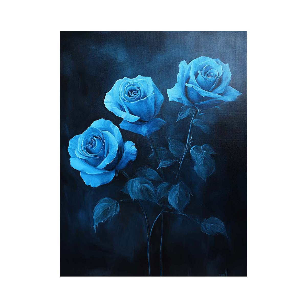 Blue Roses
