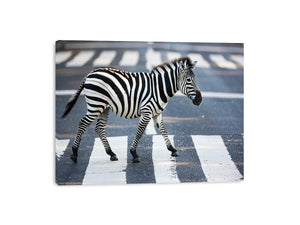 Streched canvas