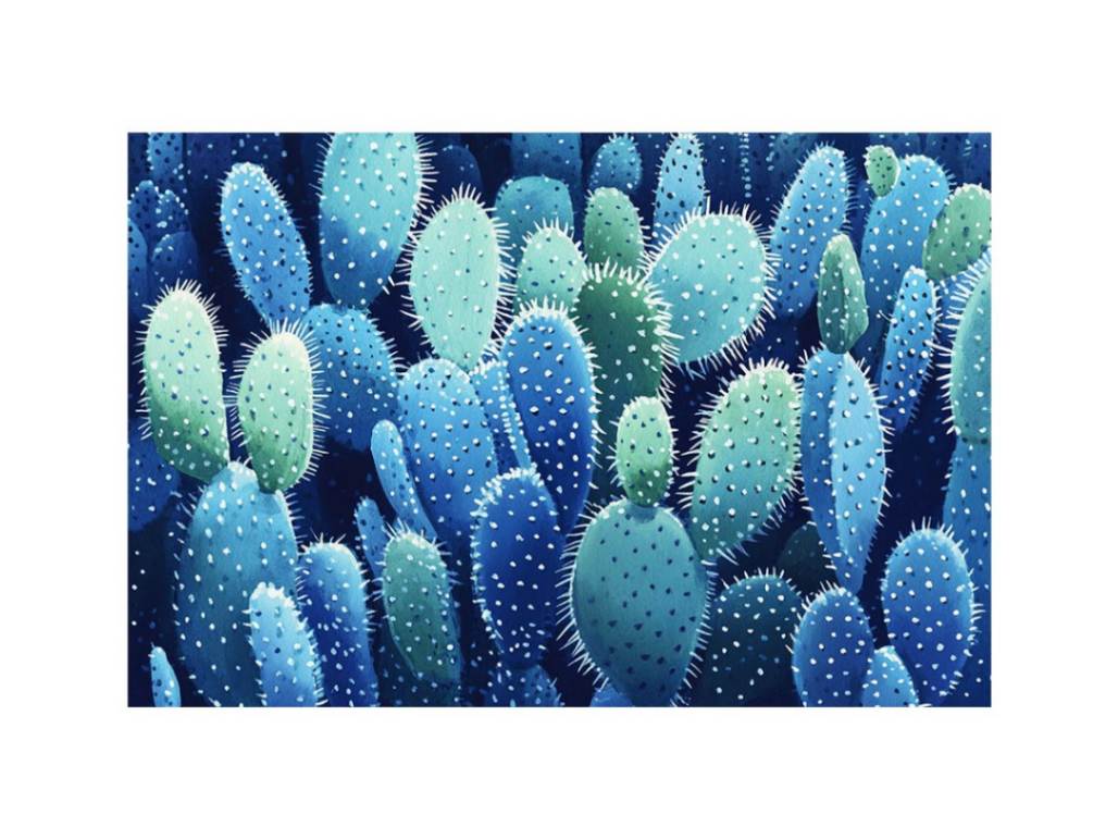 Cactus Whispers