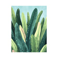 Literary Landscape