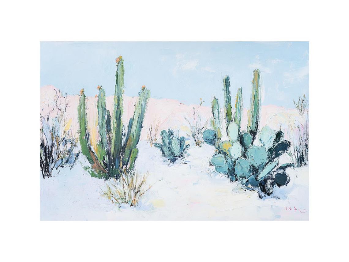 Cactus Bloom 