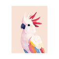 Pink cockatoo Watercolor painting