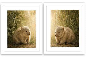 Blush Coastline 2 Piece Art Set