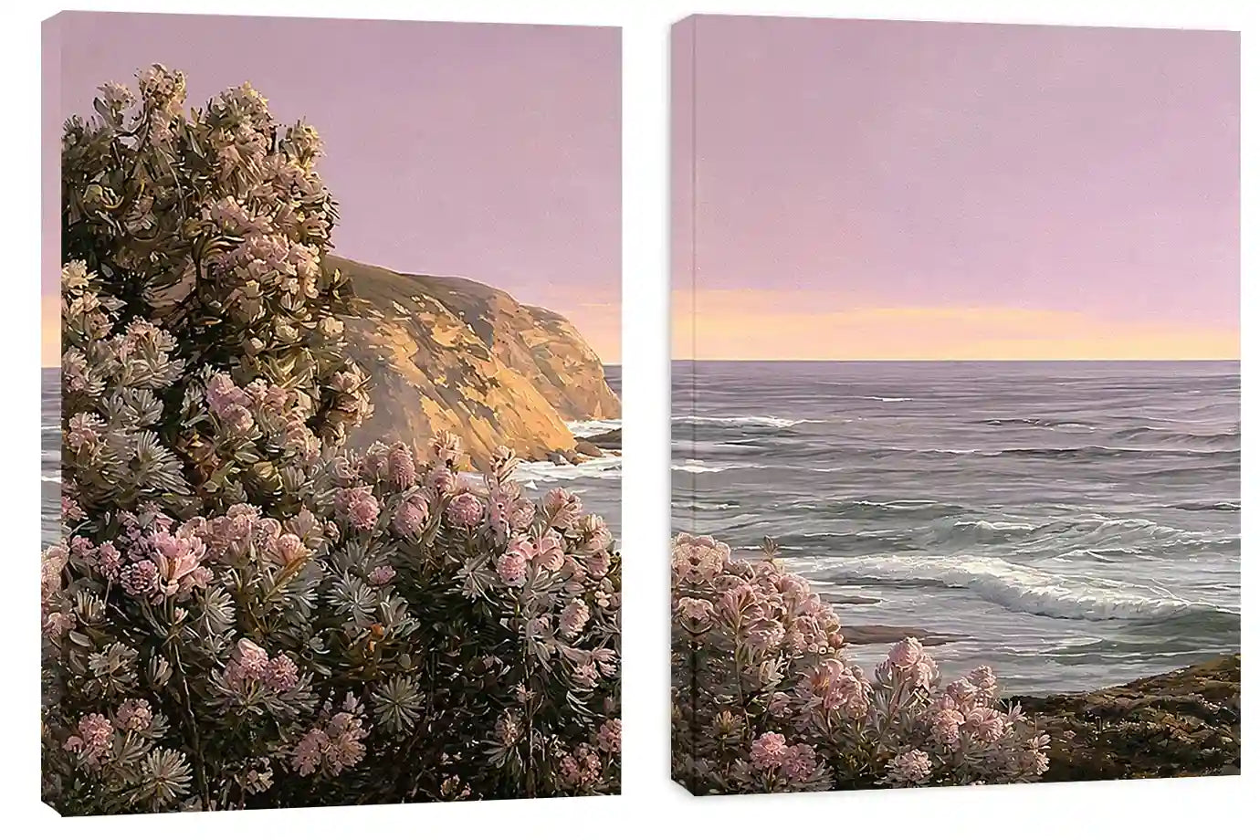 Blush Coastline 2 Piece Art Set