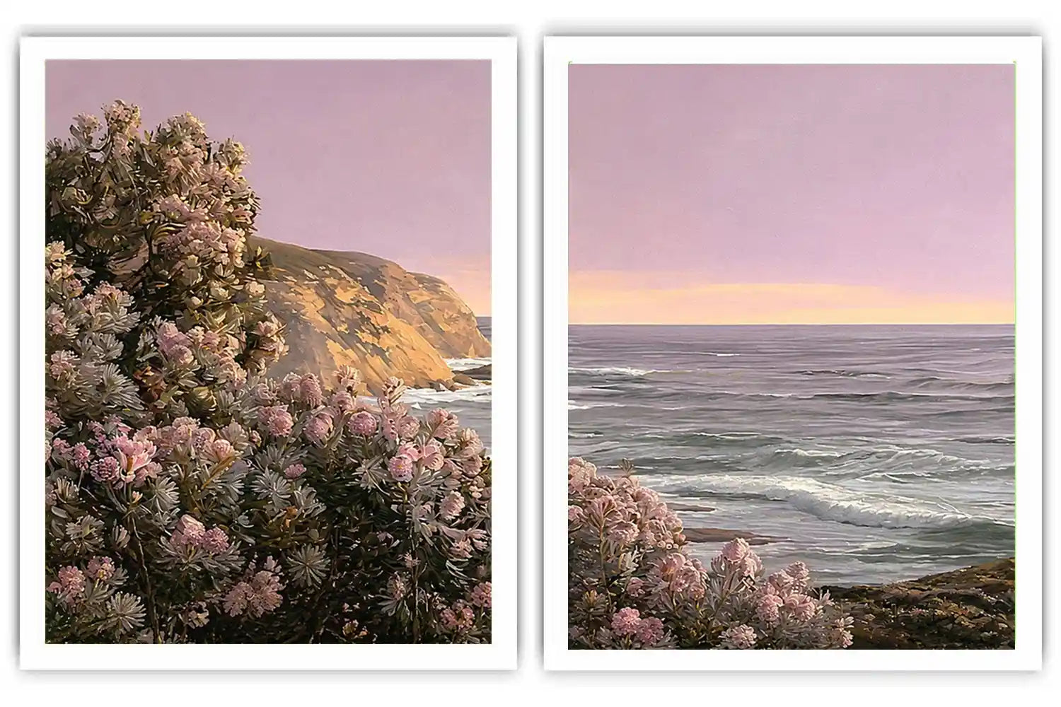 Blush Coastline 2 Piece Art Set