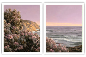 Blush Coastline 2 Piece Art Set
