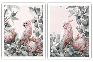 Rose Cockatoo Garden 2 Piece Art Set