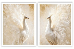 Desert Sun Drift 2 Piece Art Set