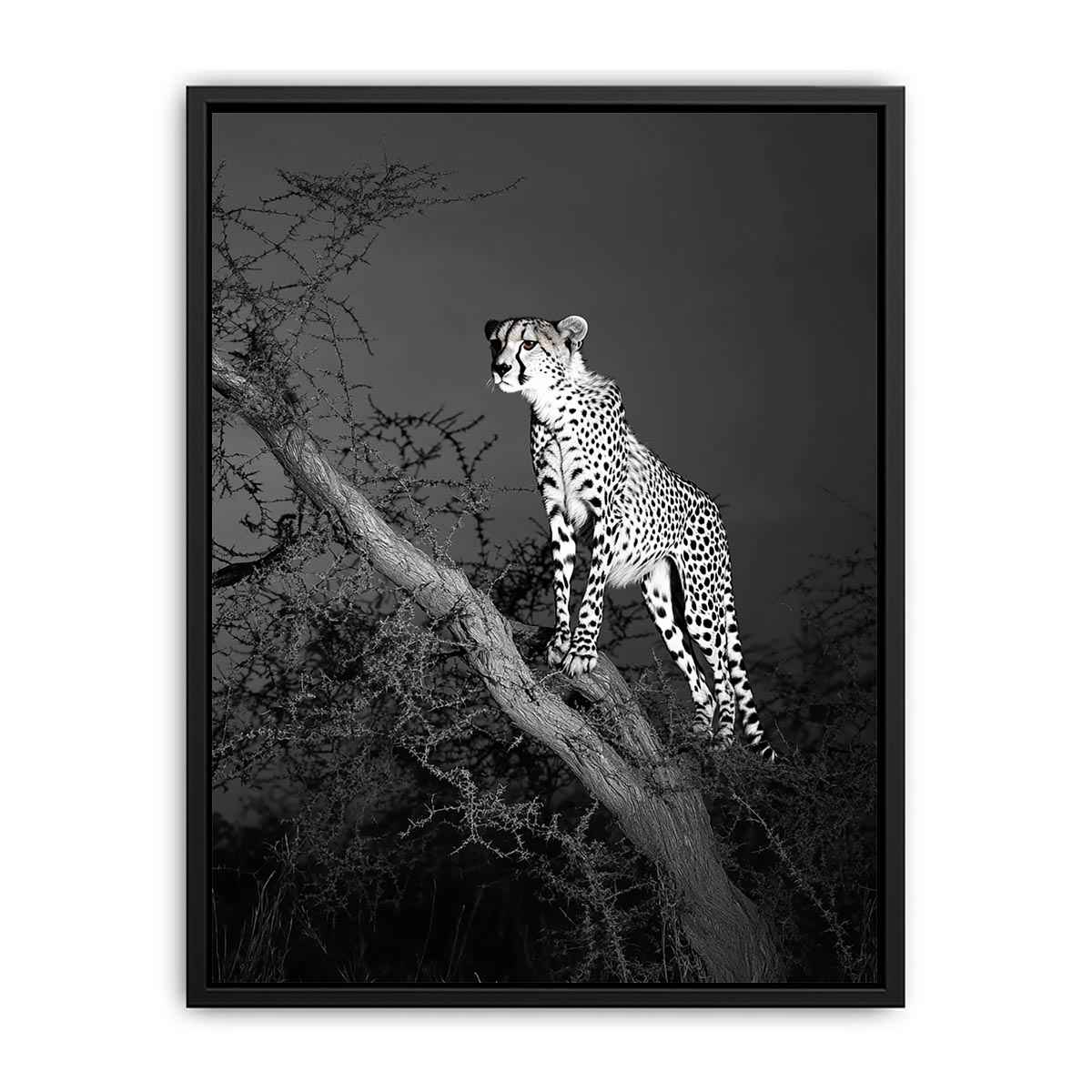 Black and white cheetah Canvas Print