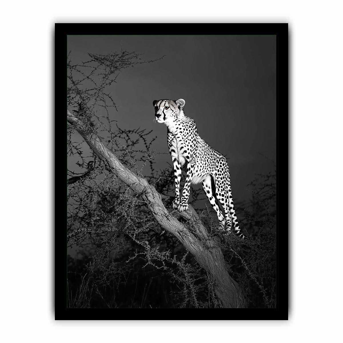 Black and white cheetah Canvas Print