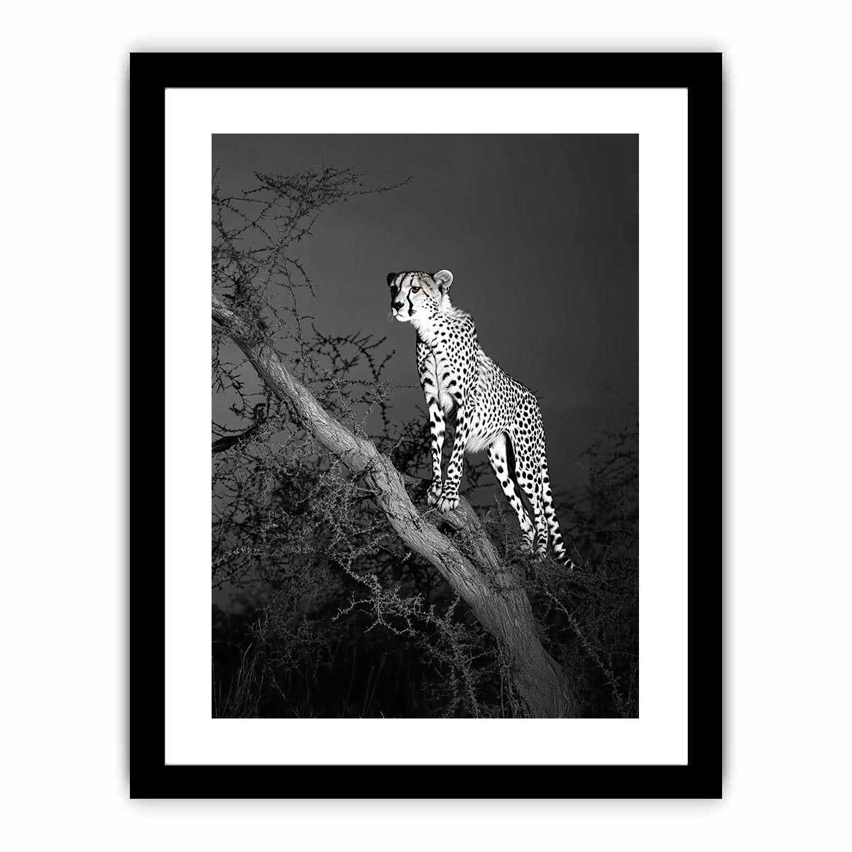 Black and white cheetah Canvas Print