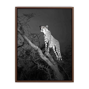 Black and white cheetah Canvas Print