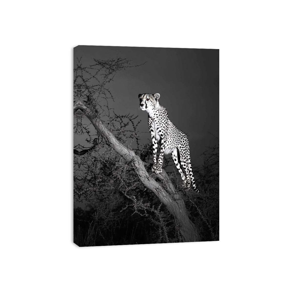 Black and white cheetah Canvas Print