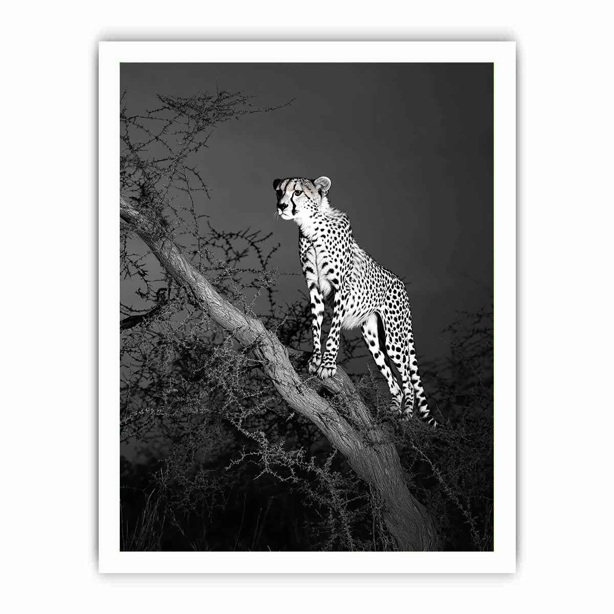 Black and white cheetah Canvas Print