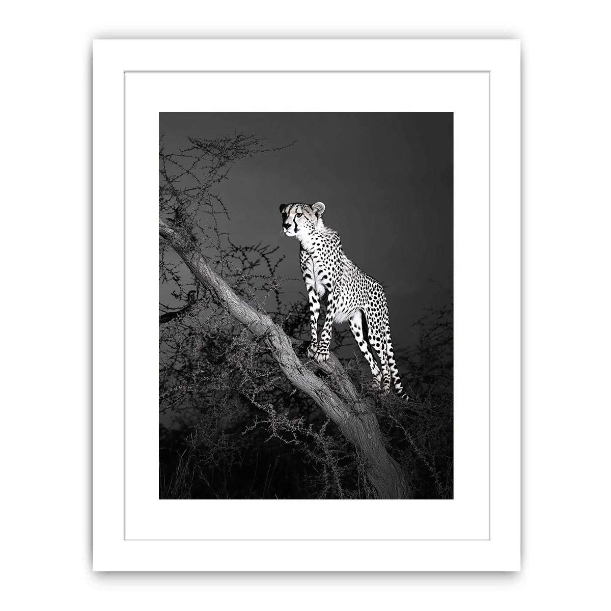 Black and white cheetah Canvas Print