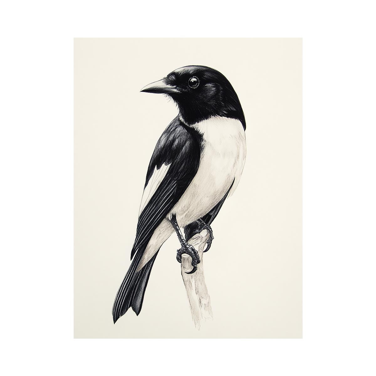 Minimal black and white songbird Canvas Print