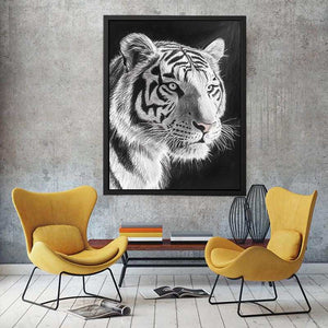 Black and white white tiger Canvas Print