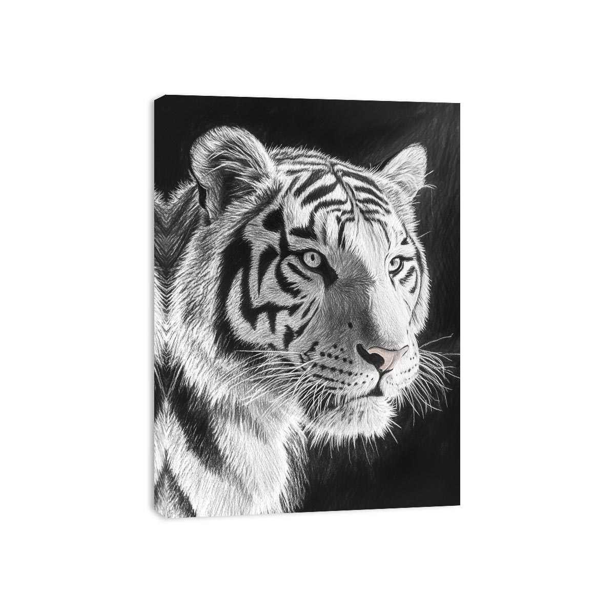 Black and white white tiger Canvas Print