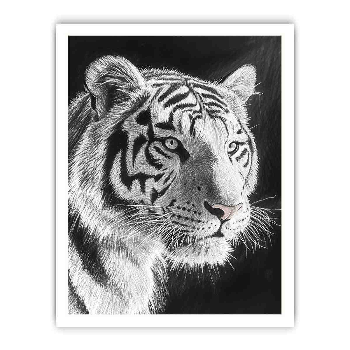Black and white white tiger Canvas Print