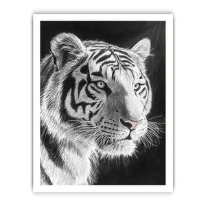 Black and white white tiger Canvas Print
