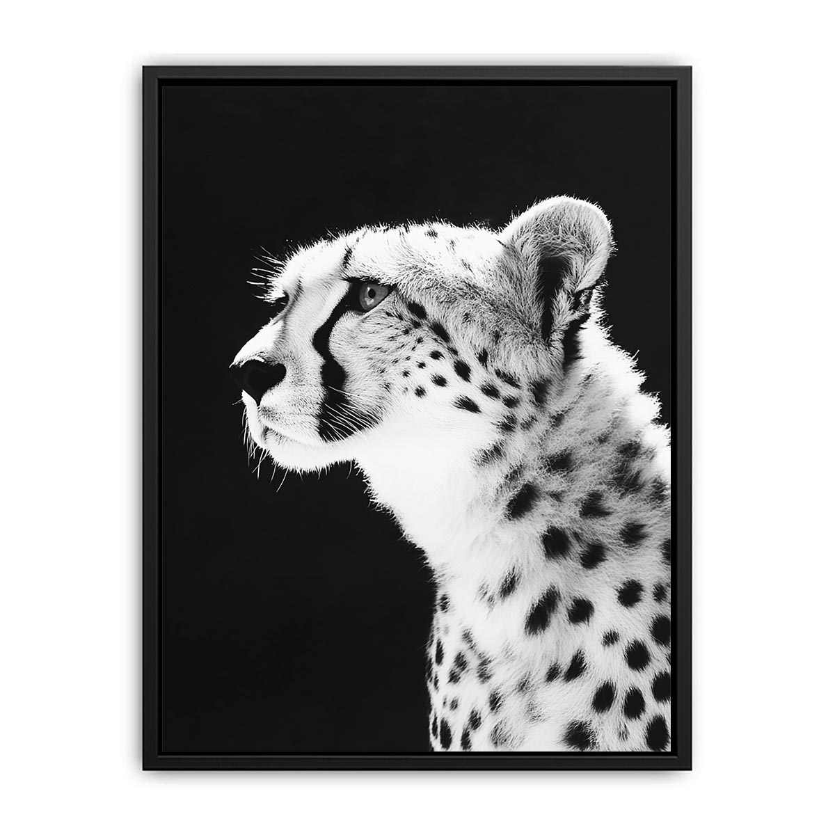 Black and white cheetah portrait Canvas Print