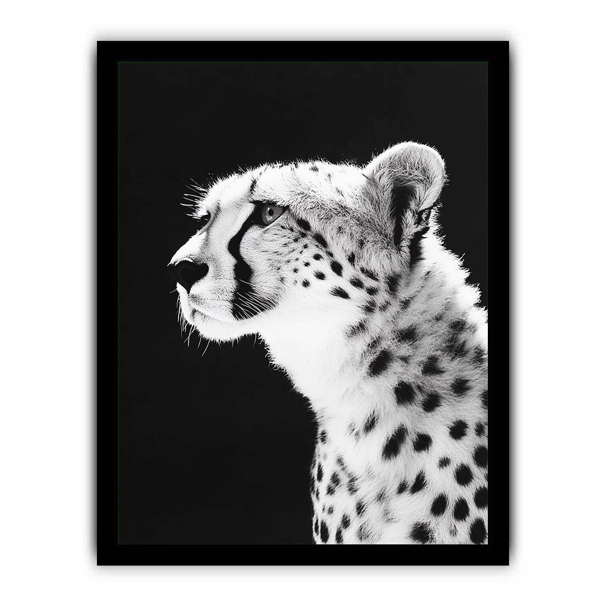 Black and white cheetah portrait Canvas Print
