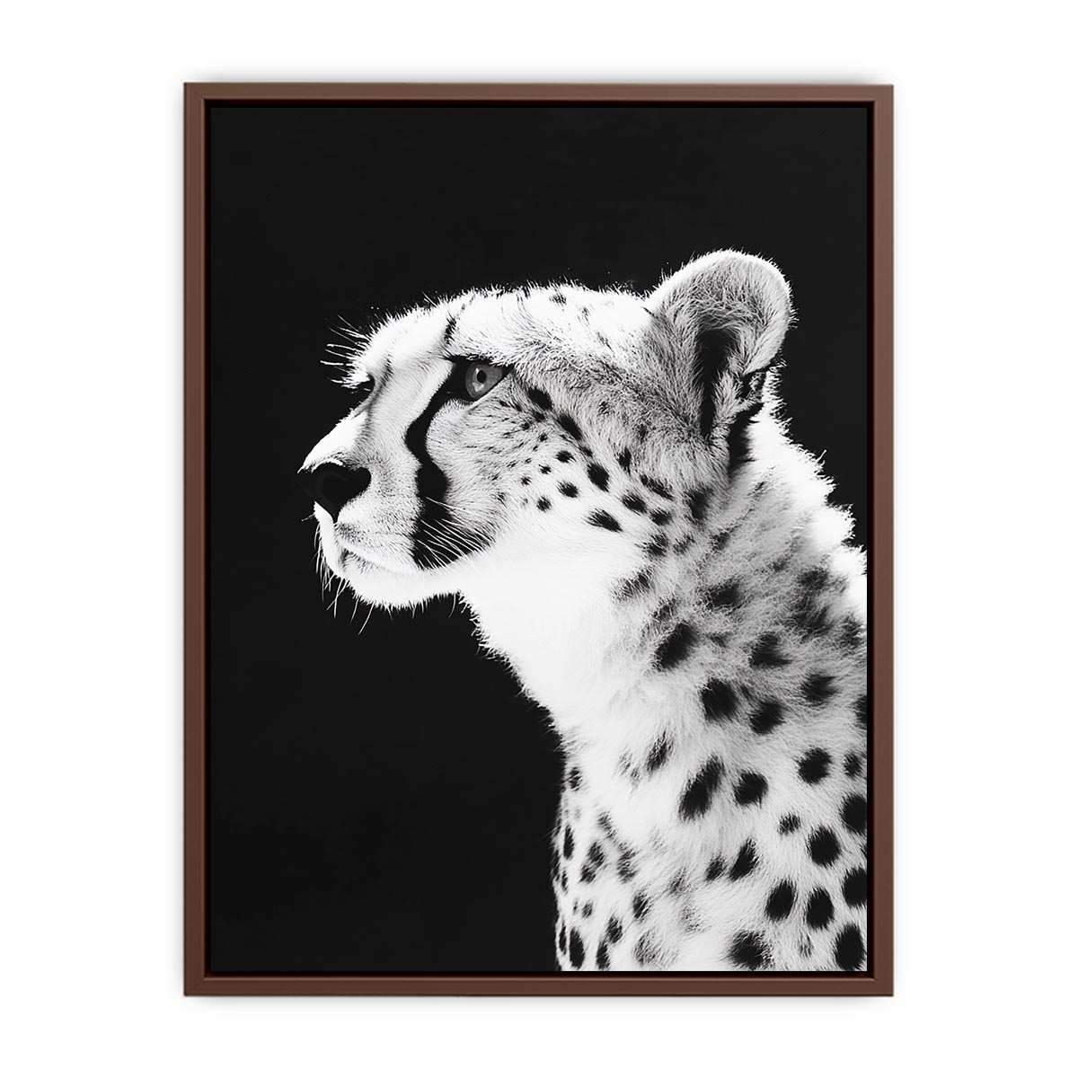 Black and white cheetah portrait Canvas Print