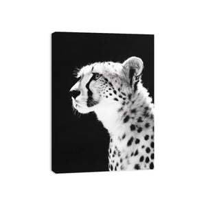 Black and white cheetah portrait Canvas Print