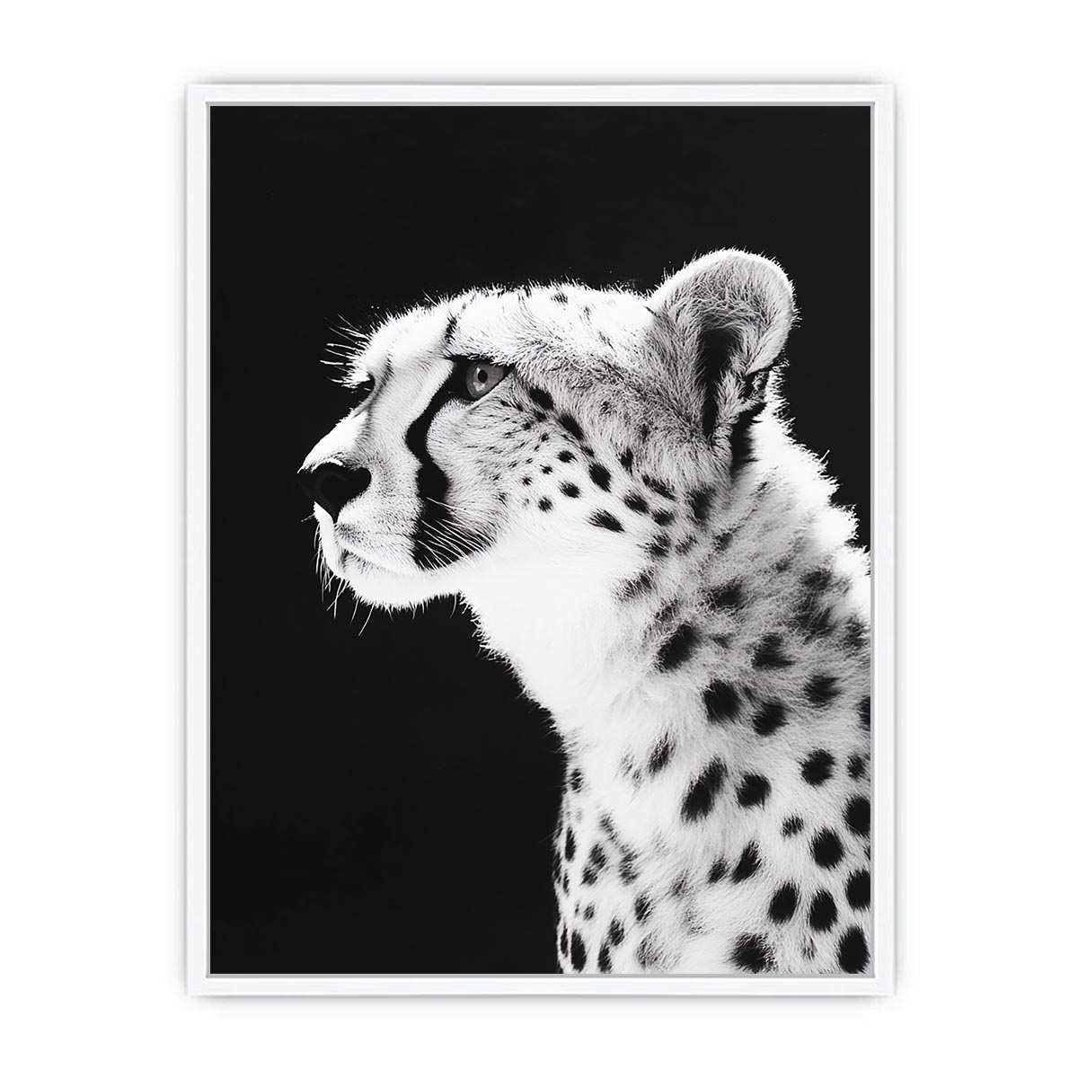 Black and white cheetah portrait Canvas Print