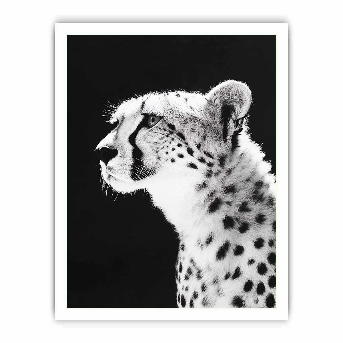 Black and white cheetah portrait Canvas Print