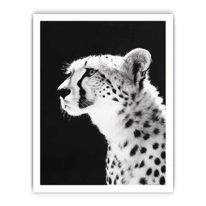 Black and white cheetah portrait Canvas Print