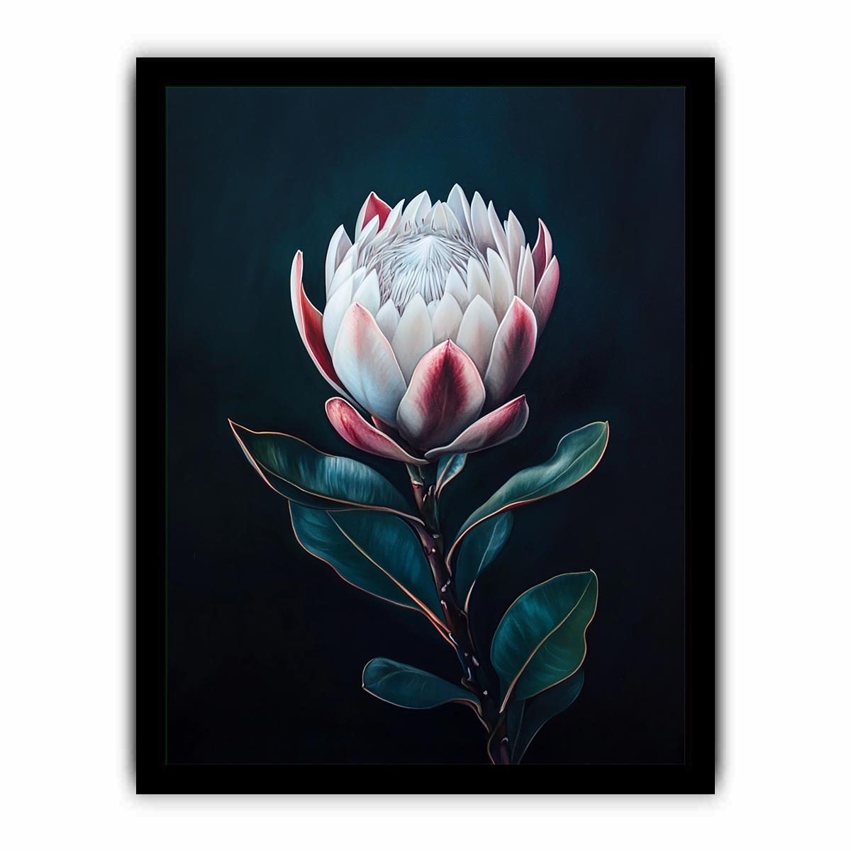 Moody protea flower Canvas Print with dark background