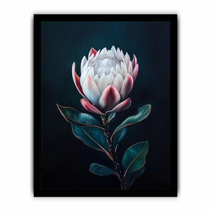 Moody protea flower Canvas Print with dark background