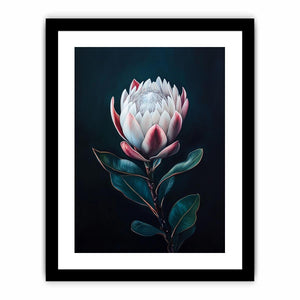 Moody protea flower Canvas Print with dark background