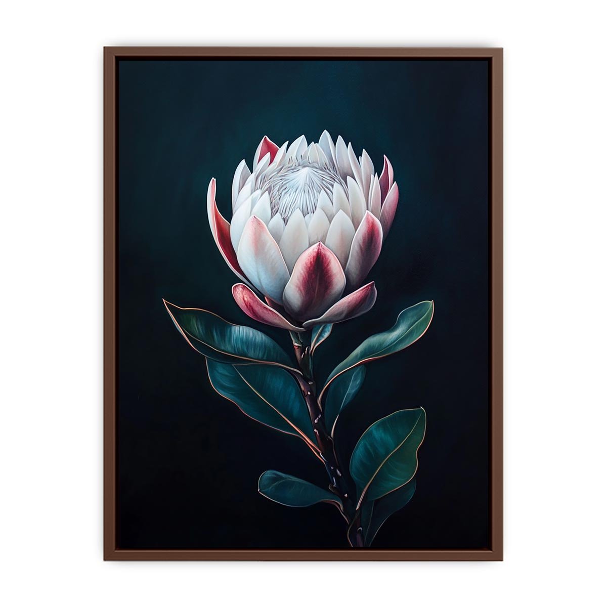 Moody protea flower Canvas Print with dark background