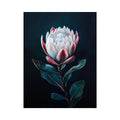 Moody protea flower Canvas Print with dark background
