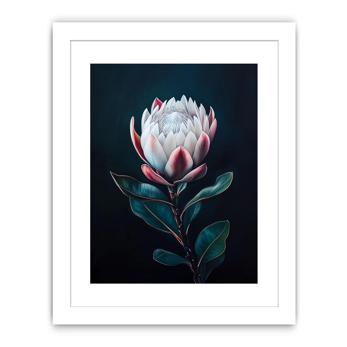 Moody protea flower Canvas Print with dark background
