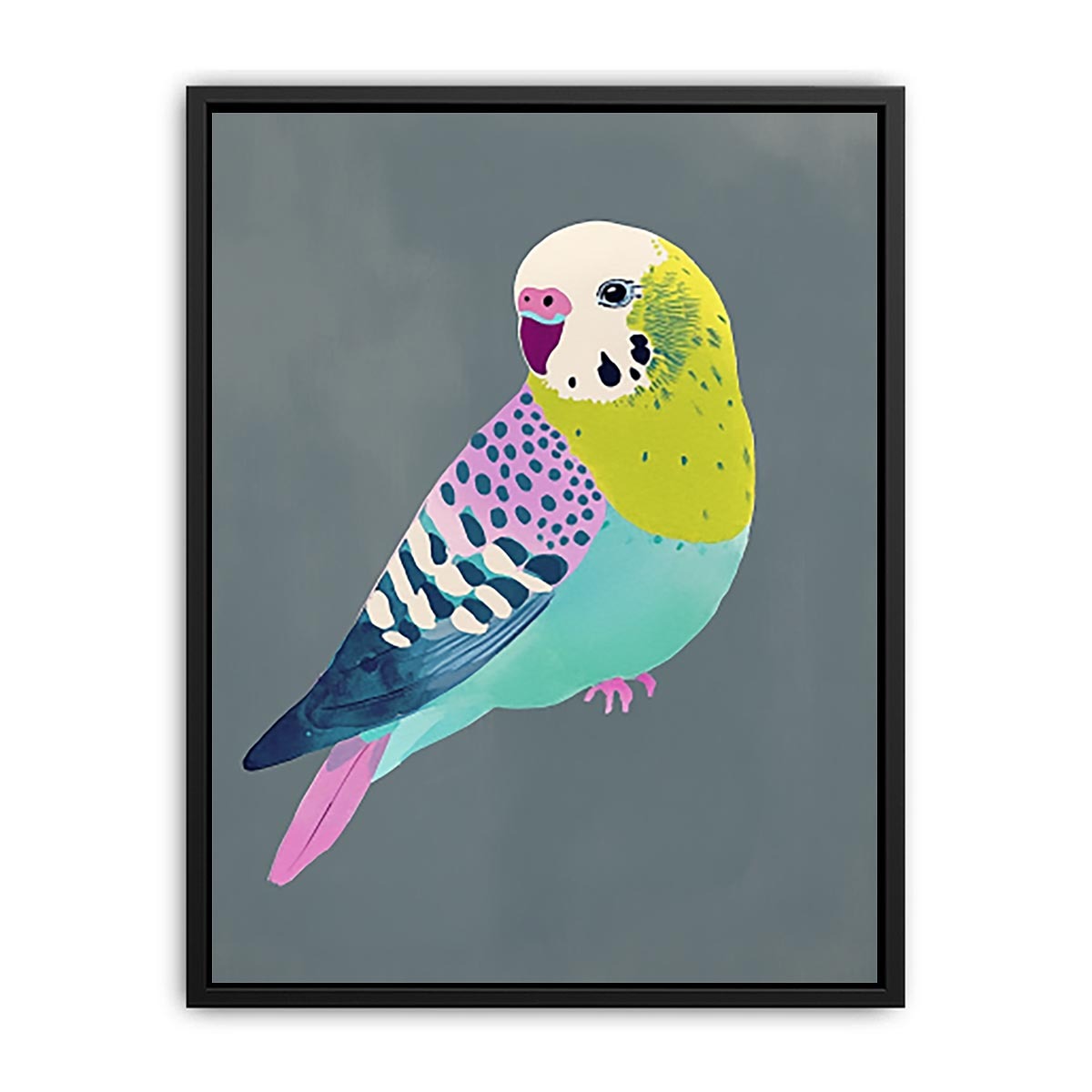 Colorful budgie bird illustration Canvas Print